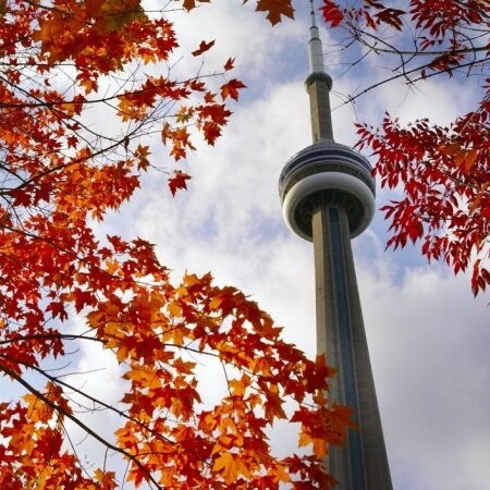 How to Get an Australian Permanent Residency Visa in 2025?